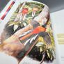 Handbook of the Birds of the World Volume 6 -Mousebirds-Hornbills Lynx Ed 2001 Image 8
