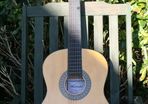 Herald HL 44 Guitar