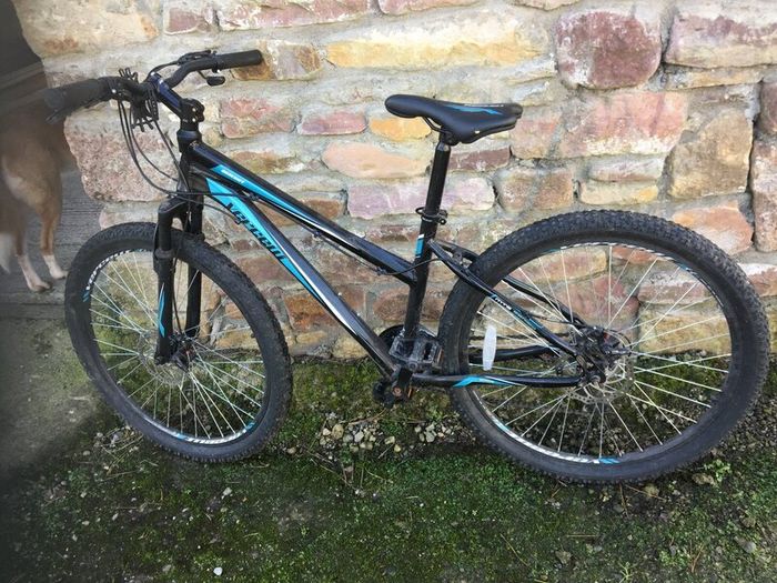 Two mountain bikes