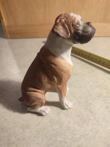 Country Artists -Boxer -Sitting