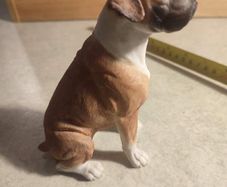 Country Artists -Boxer -Sitting