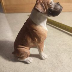 Country Artists -Boxer -Sitting
