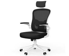 Ergonomic Office Chair with Headrest (New)