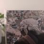 Bob Dylan - Hard Rain (LP, Album) Irish Pressing Image 3