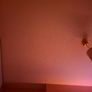 Light red colour Image 6