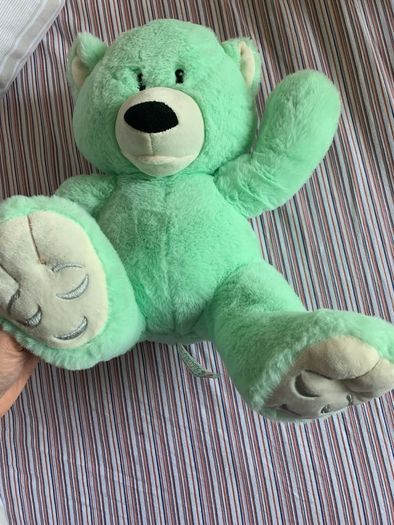 nice teddy bear