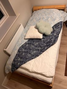 Ikea brand bed frame and mattress
