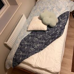 Ikea brand bed frame and mattress