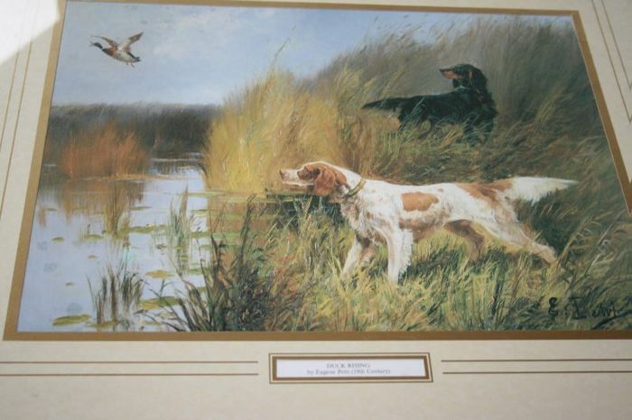 "Ducks Rising" by Eugene Petite