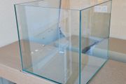 Pure View Aquarium Cube 40x40x40cm 64 Litres