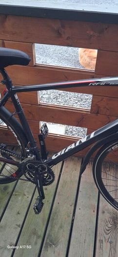 Giant road bike