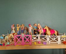 Barbies and Equistriene ponies & accessories