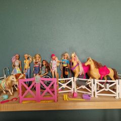 Barbies and Equistriene ponies & accessories