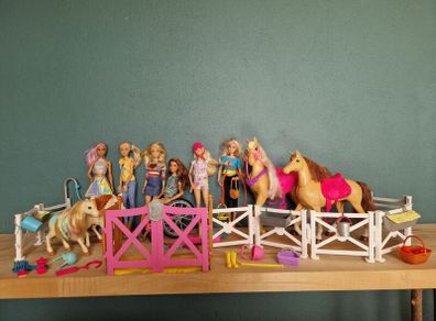 Barbies and Equistriene ponies & accessories