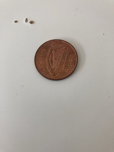 2 pence Irish 1995,1996