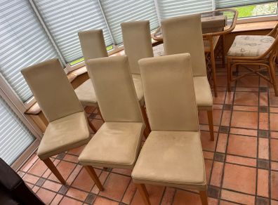 Dining Chairs