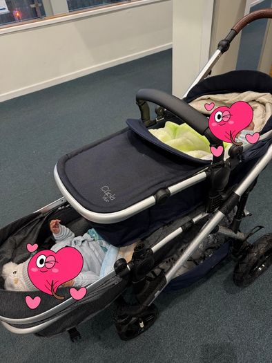 Cupla Duo, Double Buggy, Twin Buggy & Baby Carrier