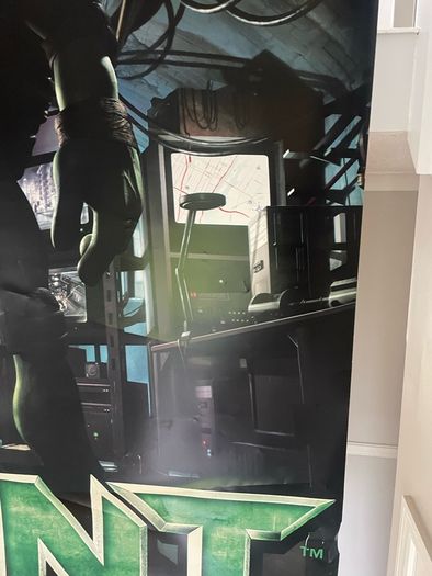 Giant TMNT Donatello 2007 Rare Cinema Display Vinyl Poster 2.4x1.5m