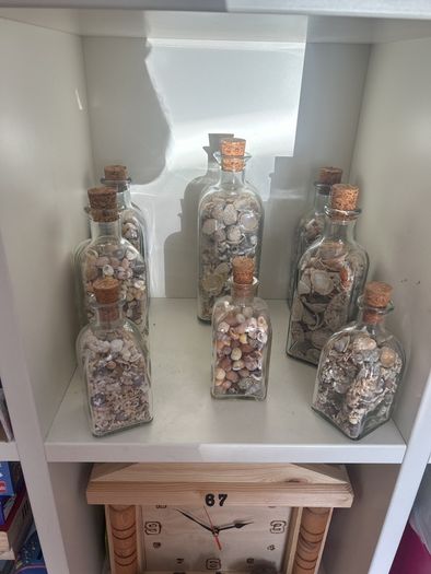 Sea shells in bottles