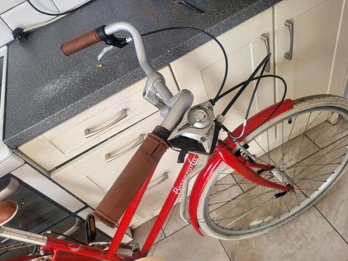 ladies bike
