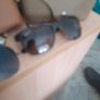 raybans Image 3