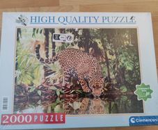Jigsaw