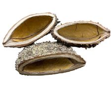 Bolsa pods 8-12cm
