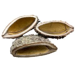Bolsa pods 8-12cm