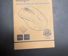 PS mouse