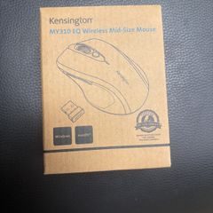 PS mouse