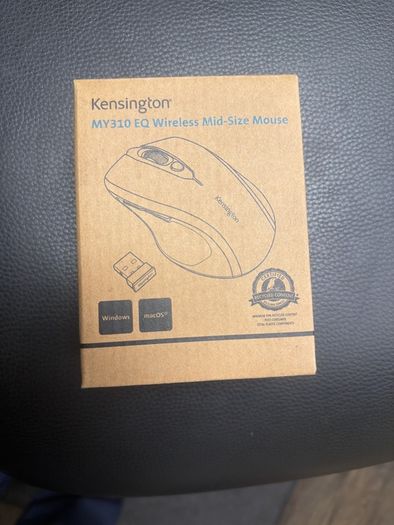PS mouse