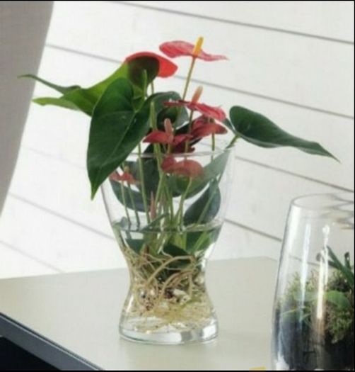 Ikea Vase