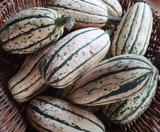 Squash 'Delicata' Irish Seeds