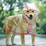 Dog clothes. Jacket, hat, raincoat Image 9
