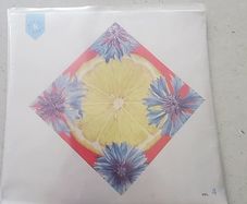 The National Vinyl