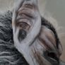 Wolf Mask Image 4