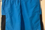 Nike men's Dri fit shorts