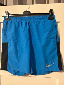 Nike men's Dri fit shorts