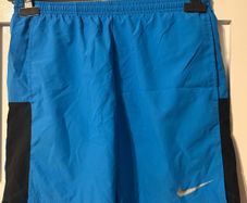 Nike men's Dri fit shorts