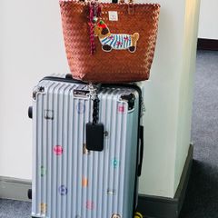 Dachshund bag