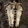 New stock arrived to renaissance Image 6