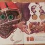 Book Lot Childrens Kids Pop-Up Phonics Disney Spot the Dog Rhymes Image 9