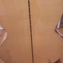 acoustic electric Image 5