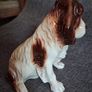 SylVac Cocker Spaniel Image 4