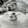 Wish Upon a Cloud Playmat Bundle with Tummy Time Roll, Sit & Play Image 6