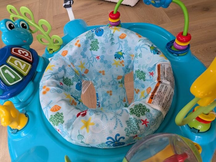 Einstein baby jumper
