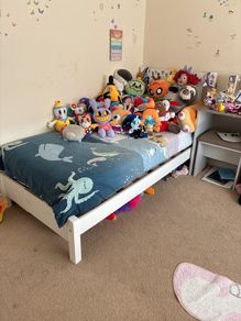 Free single bed & mattress