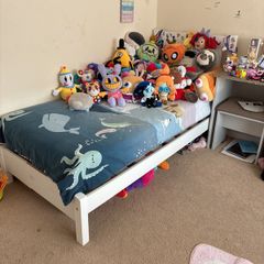 Free single bed & mattress
