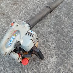 Echo leafblower