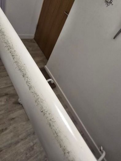 IKEA RIGGA Clothes rack